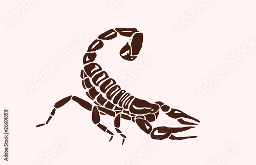 Vintage sketch of scorpion, retro illustration