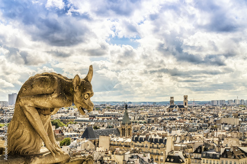 Fotografia Gargoyle on Notre Dame Cathedral, Paris, France