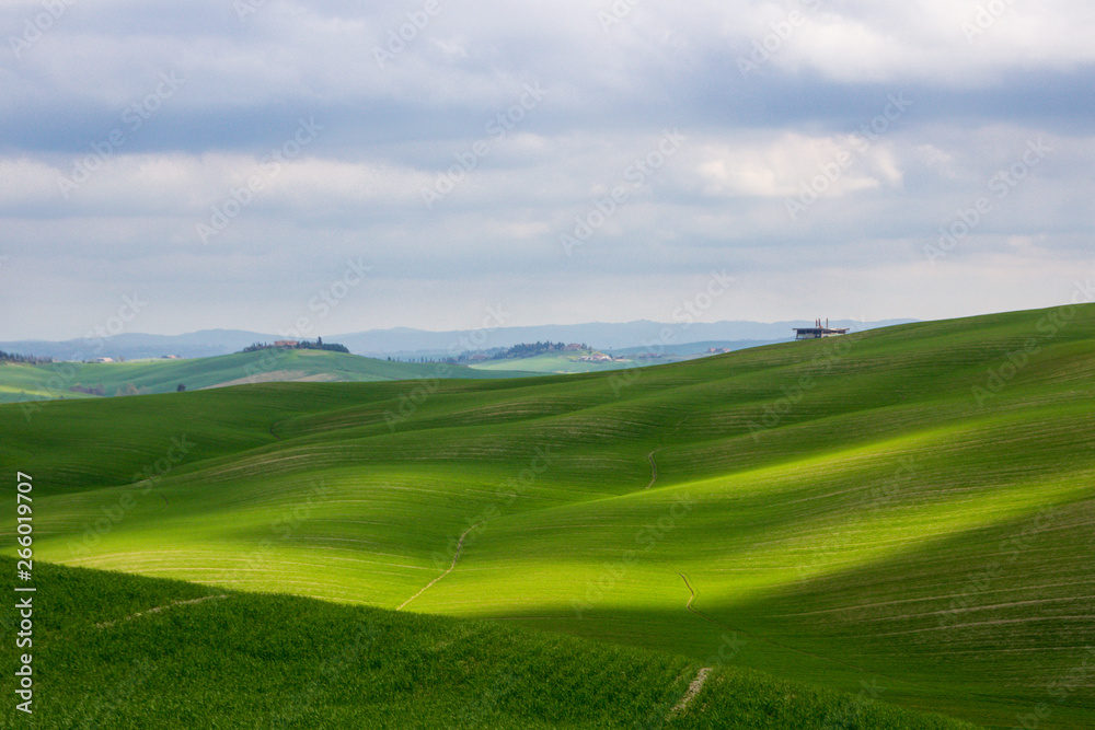 Crete Senesi green hills in Tuscany
