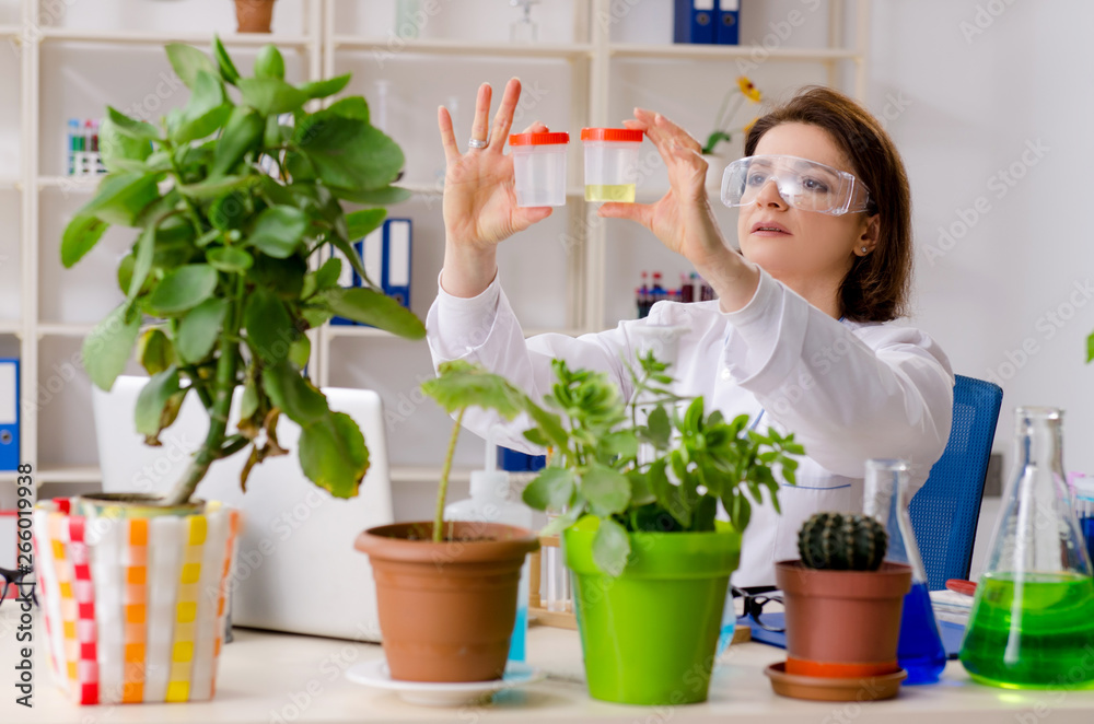 Old female biotechnology chemist working in the lab Old female biotechnology chemist working in the lab