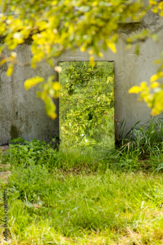 Reflection of tree branches with green leaves in a mirror leaning on a wall, outdoors on the grass on a sunny day. Impression of a mysterious entrance to the secret garden. Vertical photo.