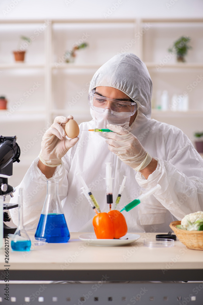 Scientist working in lab on GMO fruits and vegetables Scientist working in lab on GMO fruits and vegetables