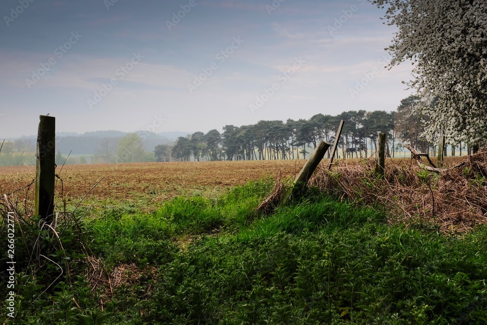 Hazy morning light in Woburn, Bedfordshire U.K.