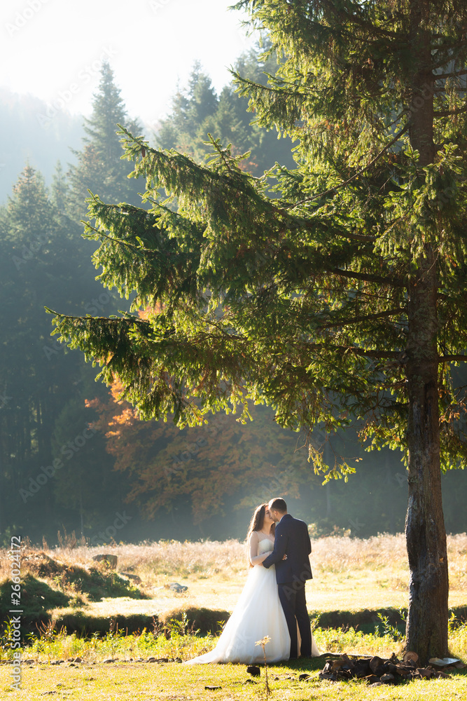 Wedding couple in the Carpathians mountains in sunny day