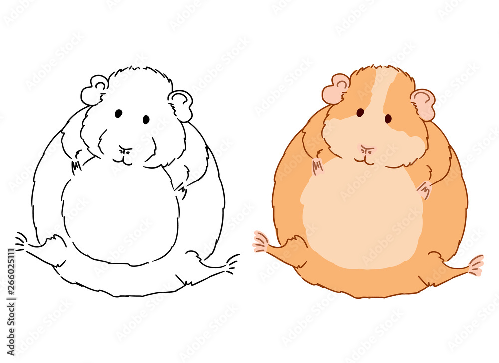 Vector art of cute little fat guinea pig on white background