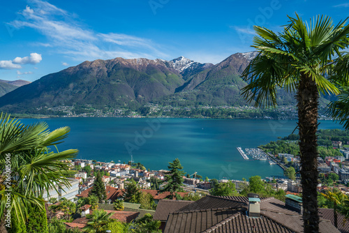 Spring view of lake maggiore surrounded by palms in Orselina, Switzerland