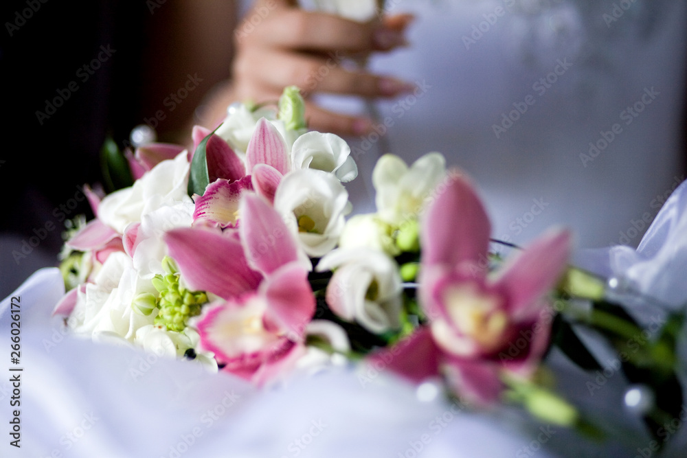 Bouquet of pink orchids and white freesia on the background of the bride Bouquet of pink orchids and white freesia on the background of the bride