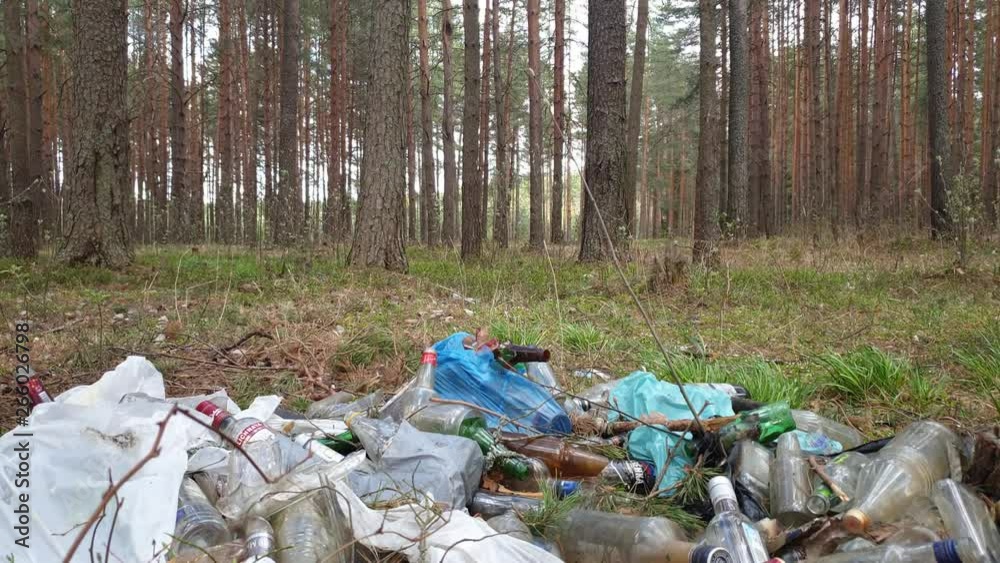 Rubbish left by people in the forest. Garbage in the forest. Rubbish left by people in the forest. Garbage in the forest.