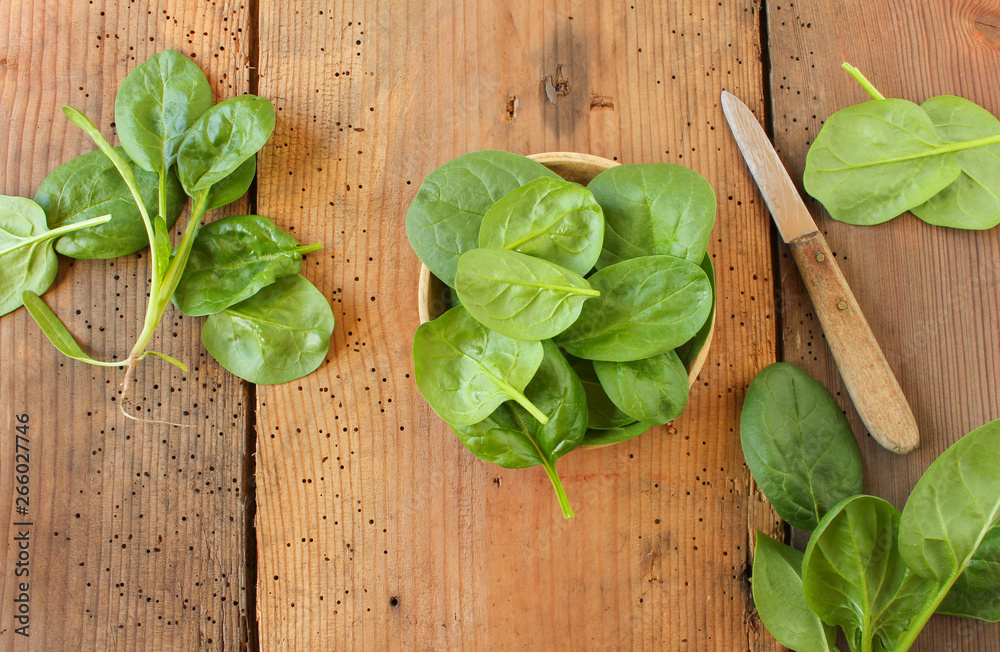 junger frischer Blattspinat Spinat Blatt Blätter Babyspinat