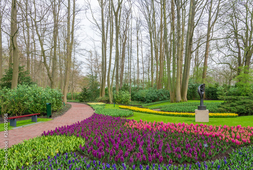 Tranquil outdoor scenery of colourful picturesque blooming tulips garden, green park, tree without leave and walkway without people in Spring season at Keukenhof Gardens in Lisse, Netherlands.