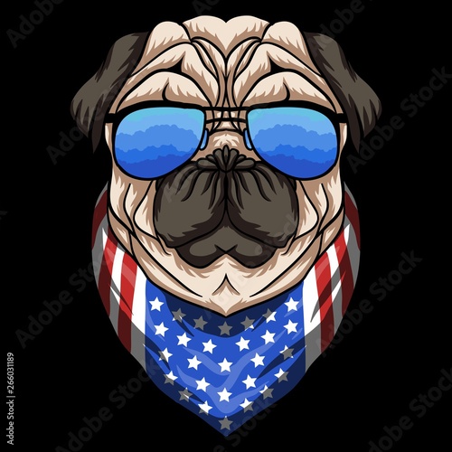 Pug Dog eyeglasses Vector illustration
