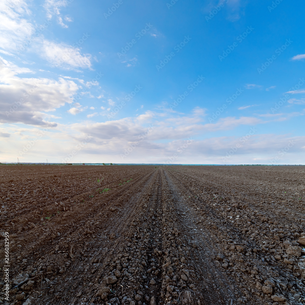 land on the field for planting \ bright spring photo ukraine midday land on the field for planting \ bright spring photo ukraine midday