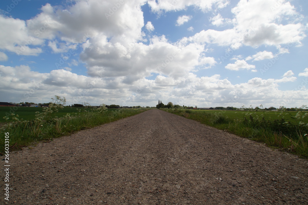 rural road in the field