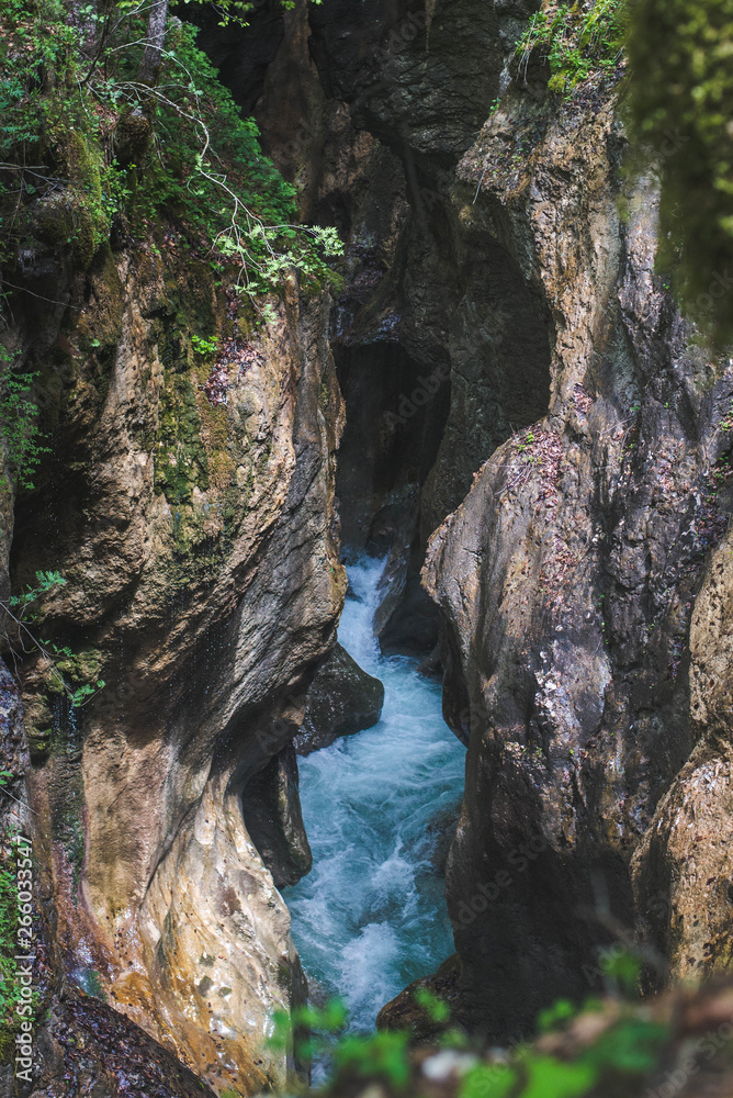 Mostnica gorge valley in Slovenia , Triglav National Park Mostnica gorge valley in Slovenia , Triglav National Park