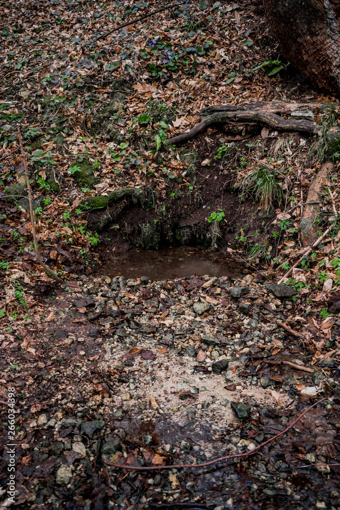 Natural underground spring water source in wild forest Natural underground spring water source in wild forest