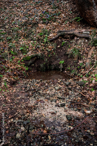 Wallpaper Mural Natural underground spring water source in wild forest Torontodigital.ca