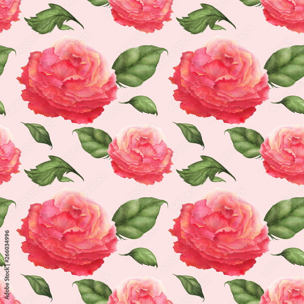 Asian Pink Rose watercolor pattern