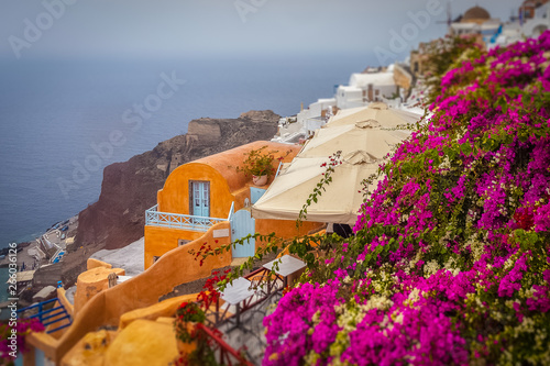 Tilt shift effect of Oia orange houses Oia with flowering bougainvillea