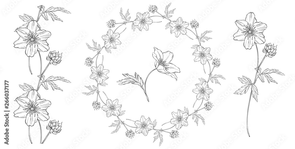 vector floral black and white composition set with anemone flowers vector floral black and white composition set with anemone flowers
