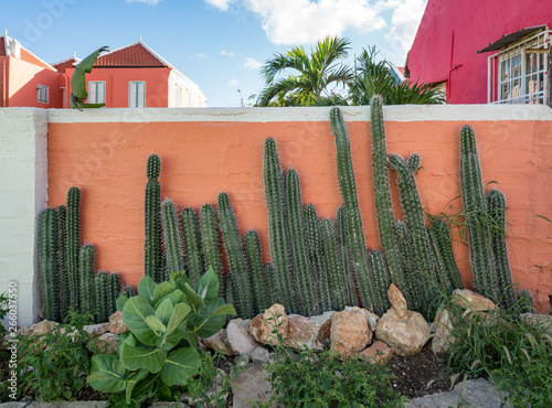Fototapeta Naklejka Na Ścianę i Meble -   Walking the back streets of Otrobanda   Views arund the small caribbean Island of Curacao