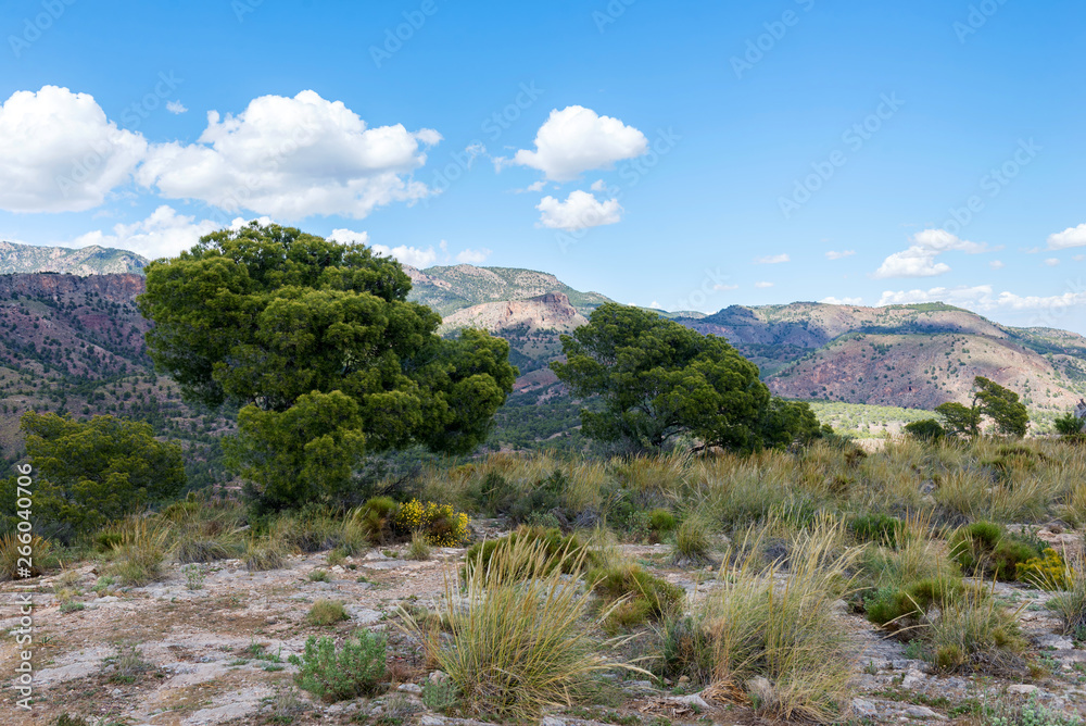 Barrancas de Gebas. Canyon. Totana. Murcia. Spain. Barrancas de Gebas. Canyon. Totana. Murcia. Spain.