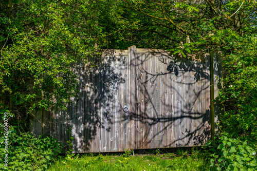 wooden gates in trees photo