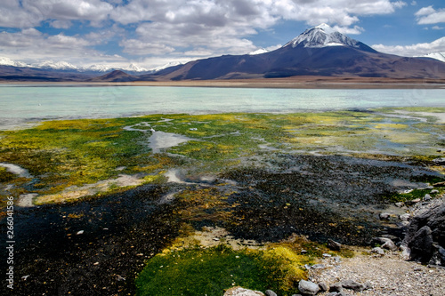 Laguna Blanca, Potosí, Bolivia.