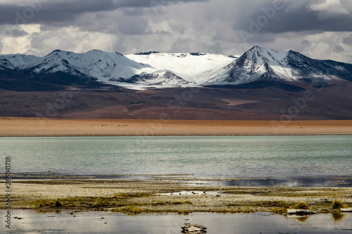 Termas de Polques. Bolvia.