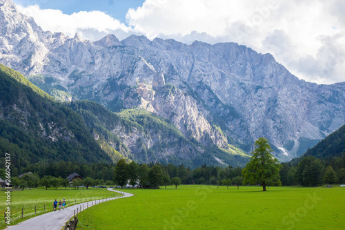 Summer View of The Logar Valley in Kamnik Mountains, Slovenia © Tomtsya