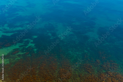 Sea bay at Cape Chameleon © andreymuravin