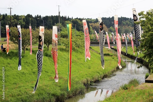 市原市瀬又地区村田川のこいのぼり