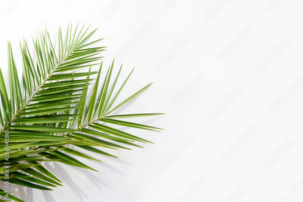 Summer flat lay scenery Summer flat lay scenery