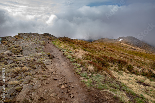 Fototapeta Naklejka Na Ścianę i Meble -  Empty trail in the mountains of central europe. A path leading high in the mountains.
