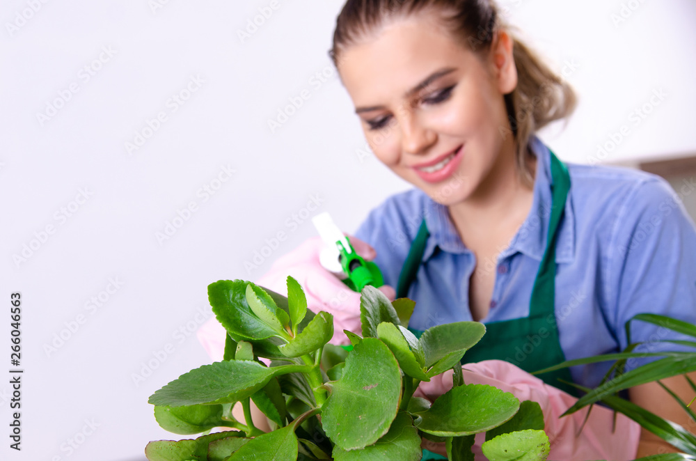 Young female gardener with plants indoors 