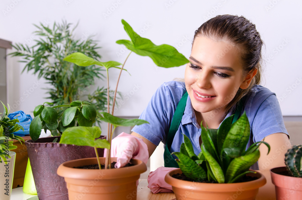 Young female gardener with plants indoors 
