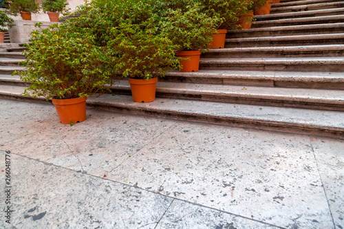Fototapeta Naklejka Na Ścianę i Meble -  Spanish Steps at Piazza Spagna, Rome, Italy