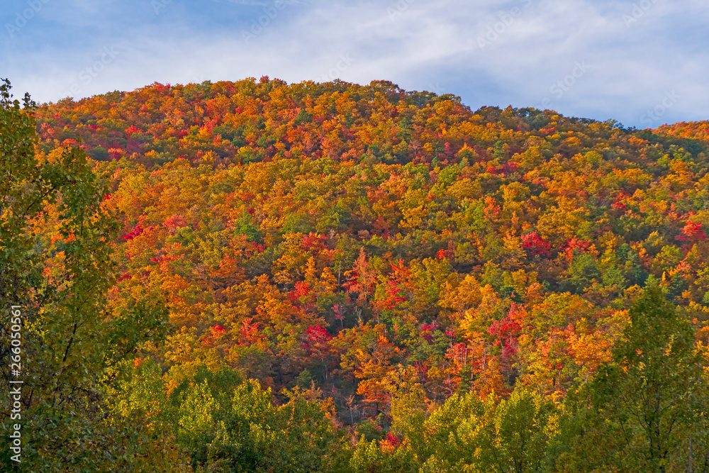 Brilliant Fall Colors on a Mountain Ridge