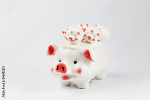 Piggy bank on a white background