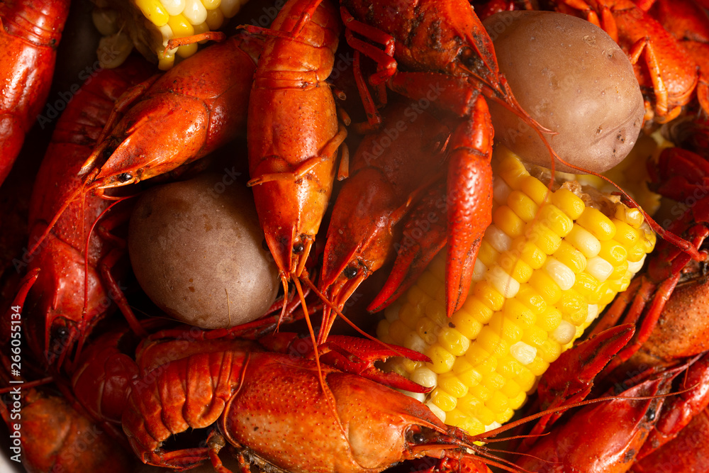 A Crawfish Boil with Corn on the Cob and Potatoes A Crawfish Boil with Corn on the Cob and Potatoes