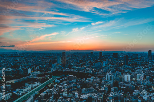 Beautiful sunset view of Tokyo