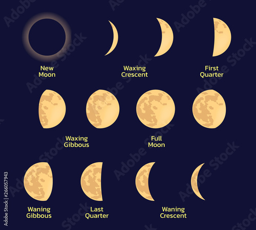 Moon Phases Shadow Light Vector