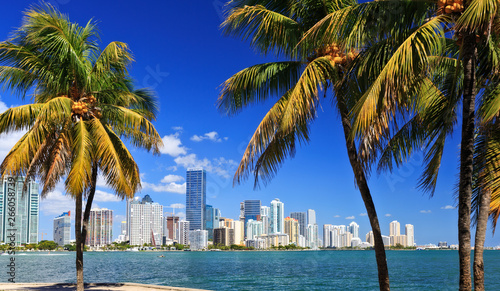 Miami Skyline with palm trees © espiegle