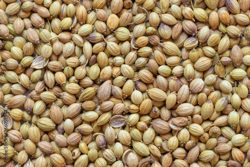 Dhaniya or Coriander whole dry spice, closeup.