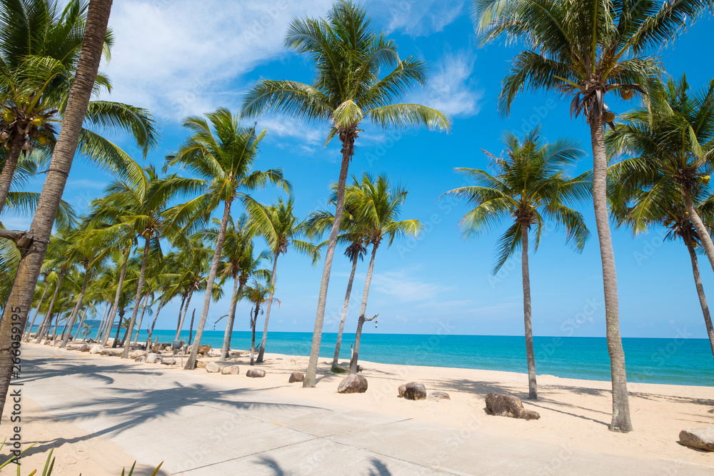 Landscape of coconut palm tree on tropical beach in summer. Summer background concept. Landscape of coconut palm tree on tropical beach in summer. Summer background concept.