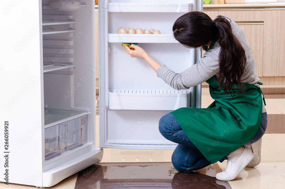 Young woman cleaning fridge in hygiene concept Young woman cleaning fridge in hygiene concept
