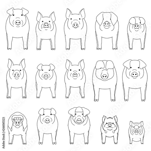 pig line art set