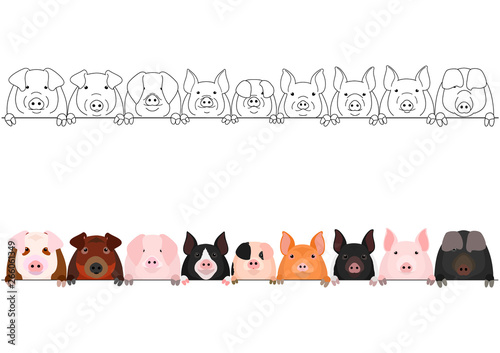 various pig heads border set