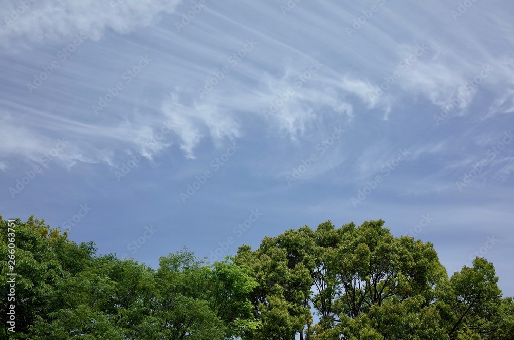 Obraz premium 青空