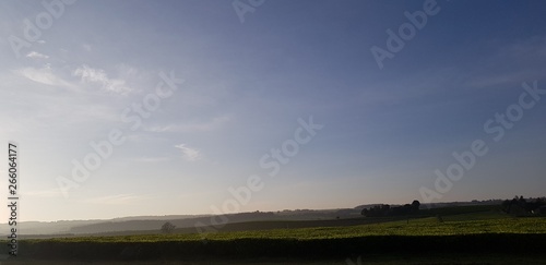 Beautiful evening landscape view in kericho County Kenya, Africa.  photo