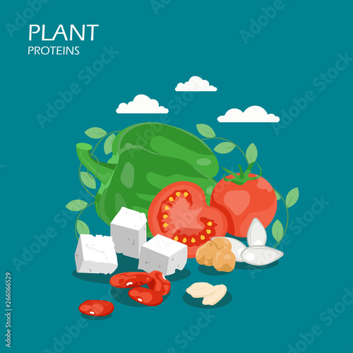 Plant proteins vector flat style design illustration